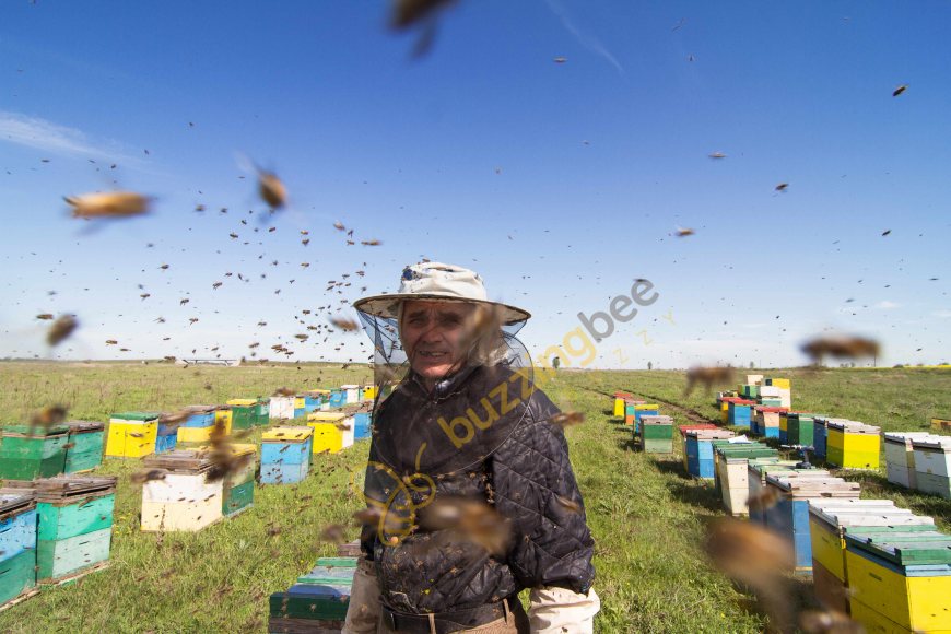 Importance of Beekeeper suit while Beekeeping