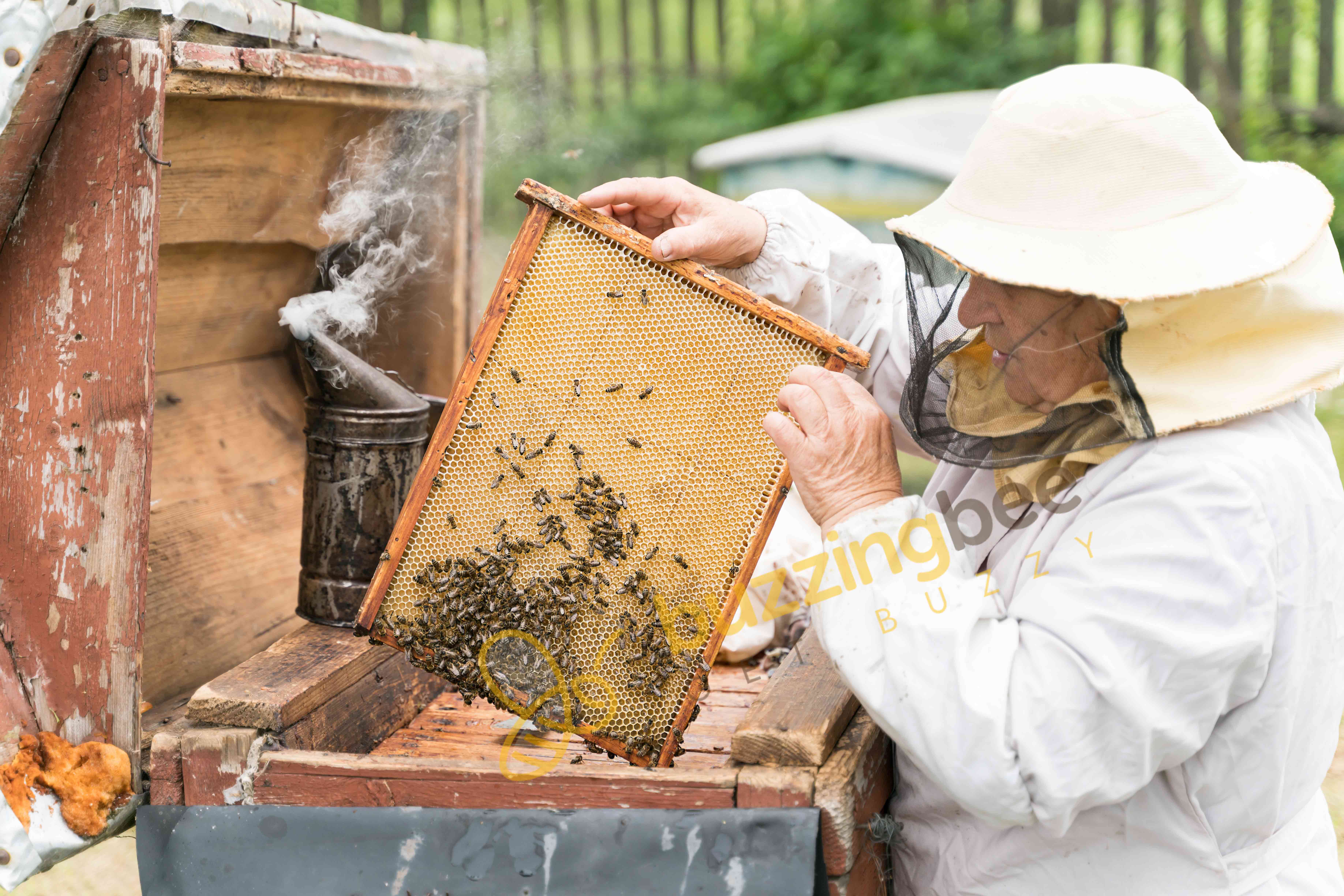 Importance of Beekeeper suit while Beekeeping