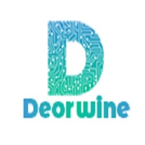 deorwineinfotech