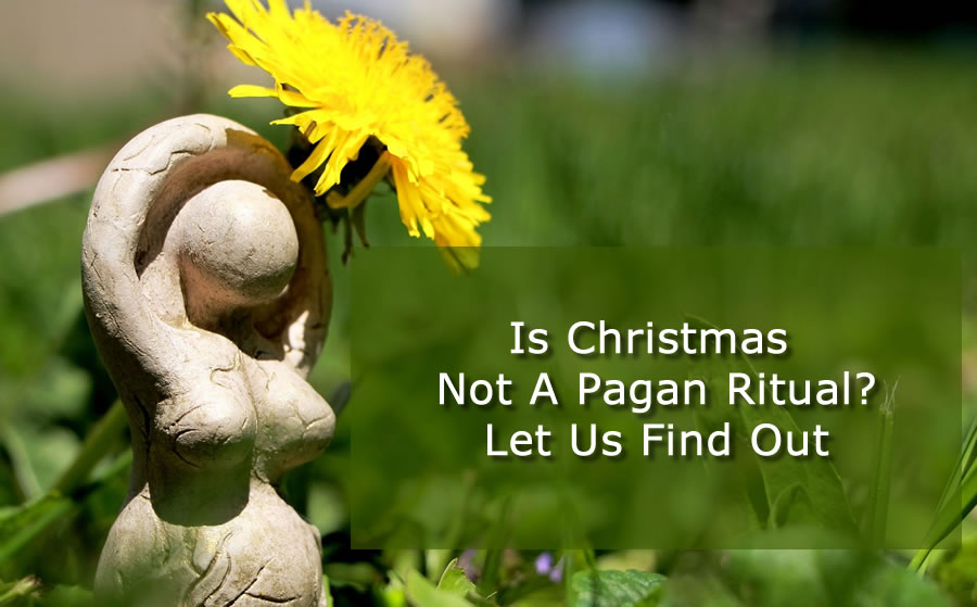 Is Christmas Not A Pagan Ritual? Let Us Find Out