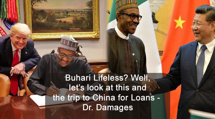 Buhari Lifeless? Well, let's look at this and the trip to China for Loans - Dr. Damages