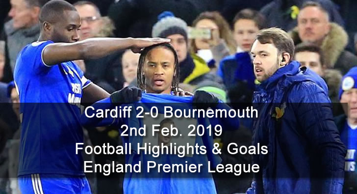 Cardiff 2-0 Bournemouth - 2nd Feb. 2019 - Football Highlights and Goals - England Premier League